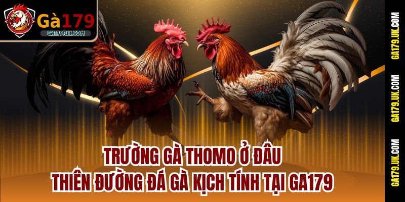 Trường Gà Thomo Ở Đâu - Thiên Đường Đá Gà Kịch Tính Tại Ga179